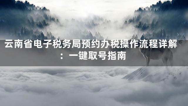 云南省电子税务局预约办税操作流程详解：一键取号指南