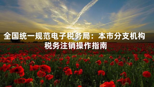 全国统一规范电子税务局：本市分支机构税务注销操作指南