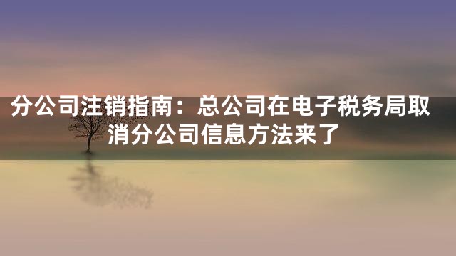 分公司注销指南：总公司在电子税务局取消分公司信息方法来了