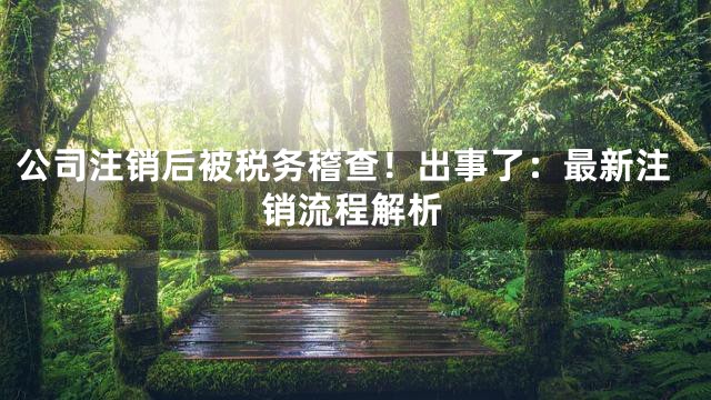 公司注销后被税务稽查！出事了：最新注销流程解析