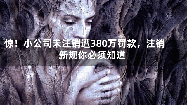 惊！小公司未注销遭380万罚款，注销新规你必须知道