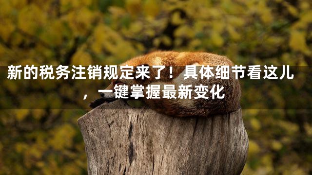 新的税务注销规定来了！具体细节看这儿，一键掌握最新变化