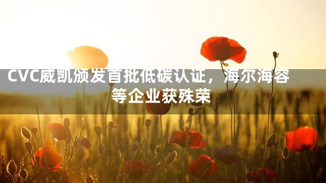 CVC威凯颁发首批低碳认证，海尔海容等企业获殊荣
