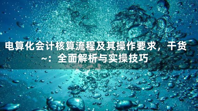 电算化会计核算流程及其操作要求，干货~：全面解析与实操技巧