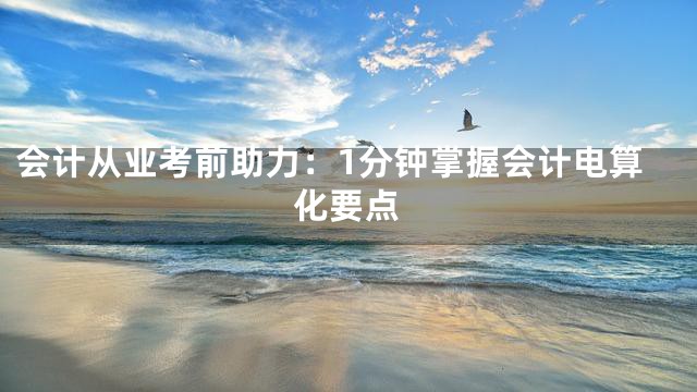 会计从业考前助力：1分钟掌握会计电算化要点