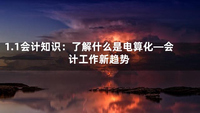 1.1会计知识：了解什么是电算化—会计工作新趋势