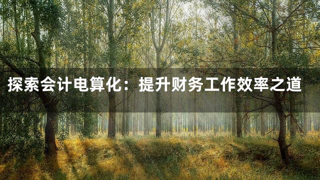 探索会计电算化：提升财务工作效率之道