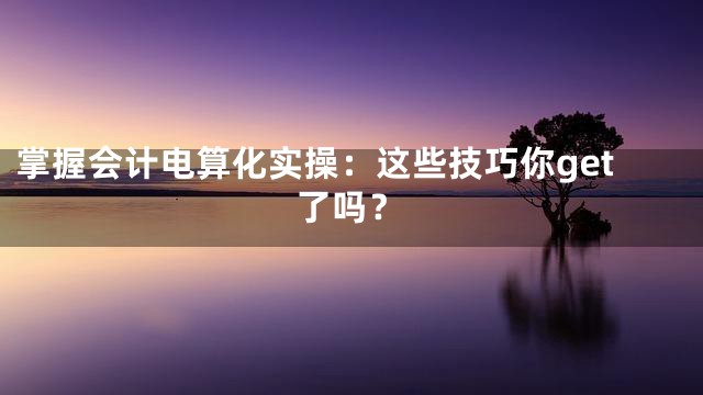 掌握会计电算化实操：这些技巧你get了吗？