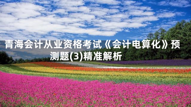 青海会计从业资格考试《会计电算化》预测题(3)精准解析