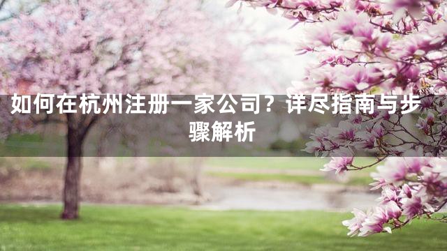 如何在杭州注册一家公司？详尽指南与步骤解析