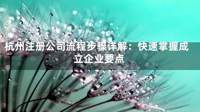 杭州注册公司流程步骤详解：快速掌握成立企业要点