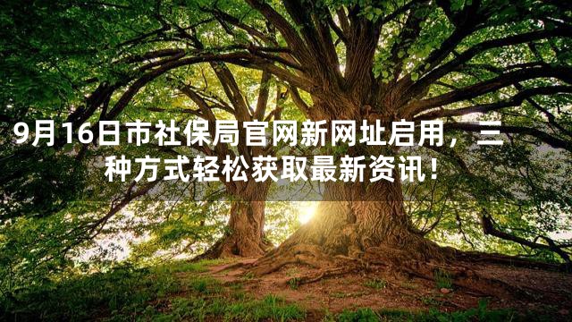 9月16日市社保局官网新网址启用，三种方式轻松获取最新资讯！