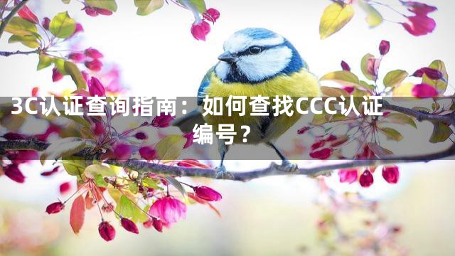 3C认证查询指南：如何查找CCC认证编号？