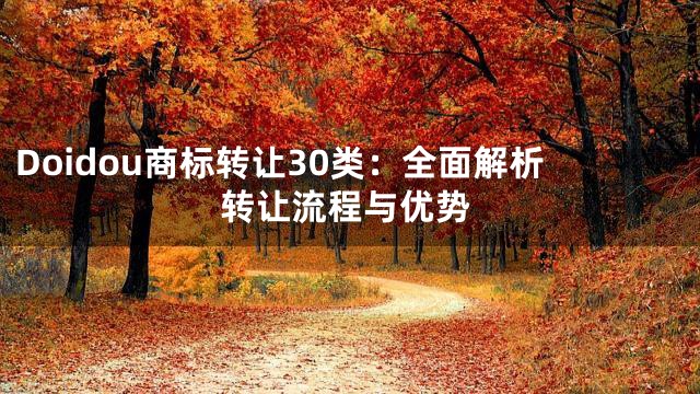 Doidou商标转让30类：全面解析转让流程与优势
