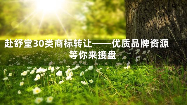 赴舒堂30类商标转让——优质品牌资源等你来接盘