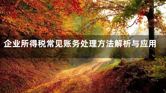 企业所得税常见账务处理方法解析与应用