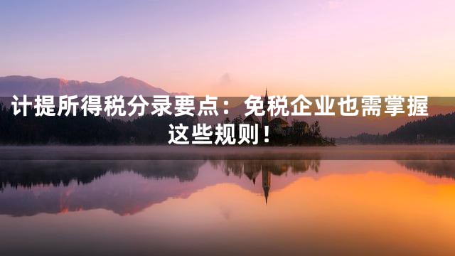 计提所得税分录要点：免税企业也需掌握这些规则！