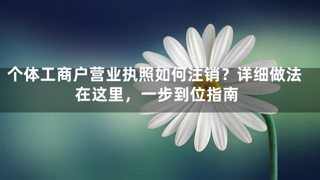 个体工商户营业执照如何注销？详细做法在这里，一步到位指南