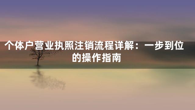 个体户营业执照注销流程详解：一步到位的操作指南