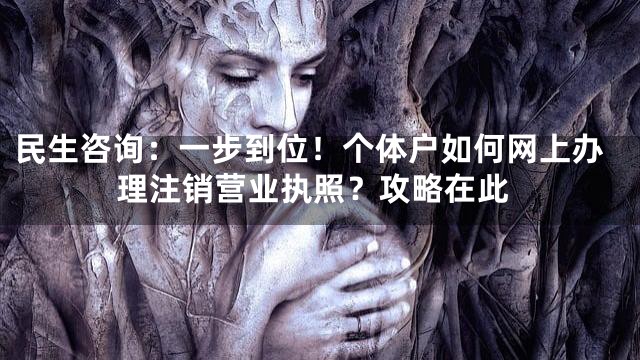 民生咨询：一步到位！个体户如何网上办理注销营业执照？攻略在此