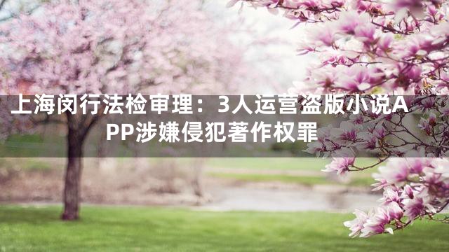 上海闵行法检审理：3人运营盗版小说APP涉嫌侵犯著作权罪