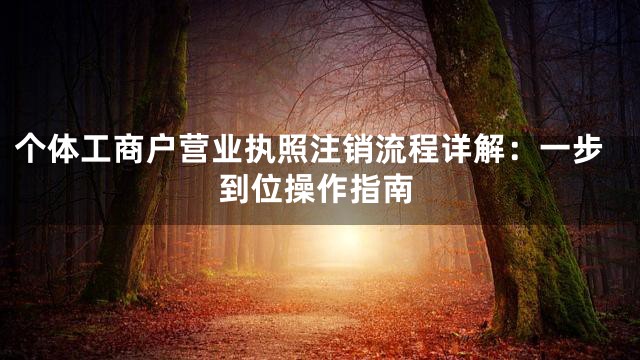 个体工商户营业执照注销流程详解：一步到位操作指南
