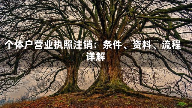 个体户营业执照注销：条件、资料、流程详解