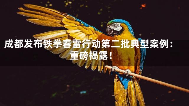 成都发布铁拳春雷行动第二批典型案例：重磅揭露！