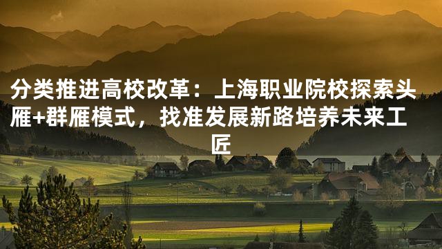 分类推进高校改革：上海职业院校探索头雁+群雁模式，找准发展新路培养未来工匠