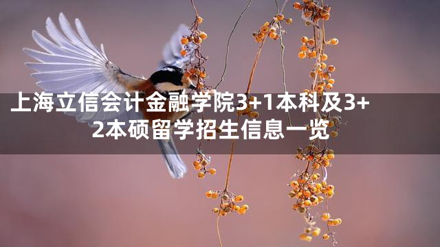 上海立信会计金融学院3+1本科及3+2本硕留学招生信息一览