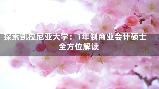 探索凯拉尼亚大学：1年制商业会计硕士全方位解读