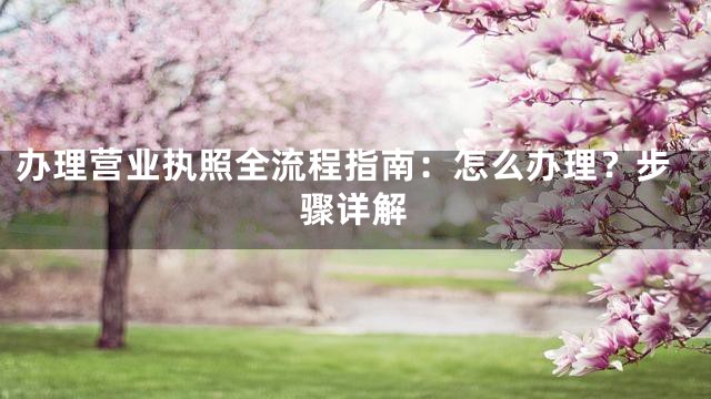办理营业执照全流程指南：怎么办理？步骤详解