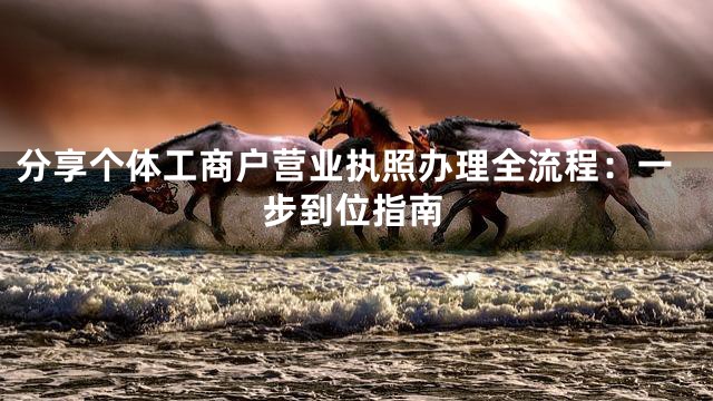 分享个体工商户营业执照办理全流程：一步到位指南
