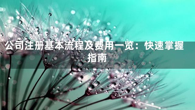 公司注册基本流程及费用一览：快速掌握指南