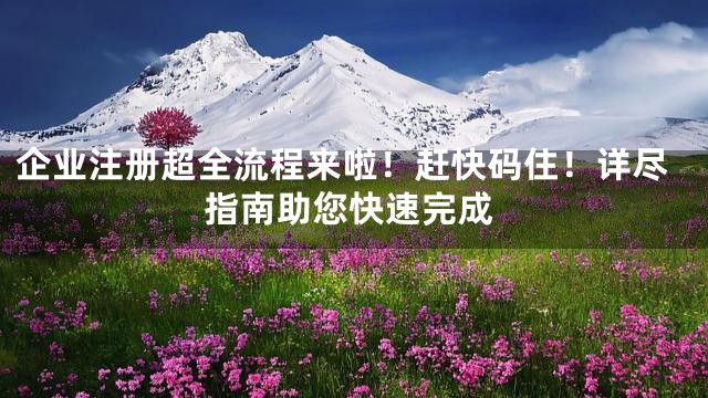 企业注册超全流程来啦！赶快码住！详尽指南助您快速完成