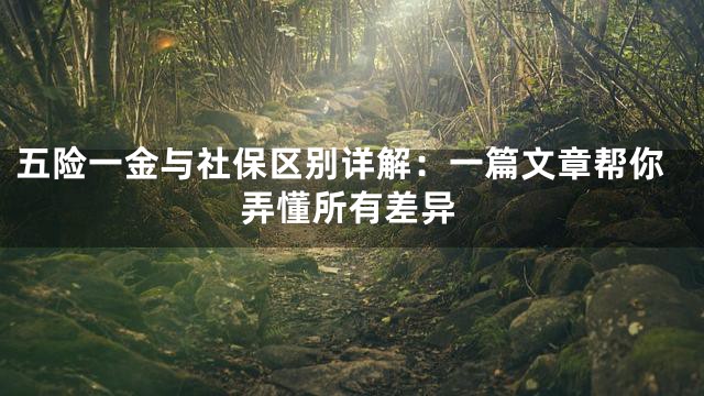 五险一金与社保区别详解：一篇文章帮你弄懂所有差异