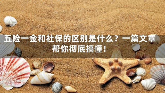 五险一金和社保的区别是什么？一篇文章帮你彻底搞懂！