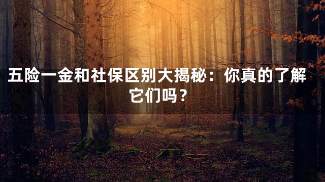 五险一金和社保区别大揭秘：你真的了解它们吗？