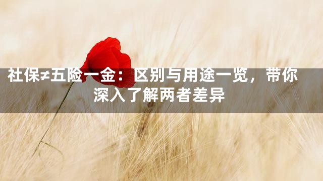 社保≠五险一金：区别与用途一览，带你深入了解两者差异