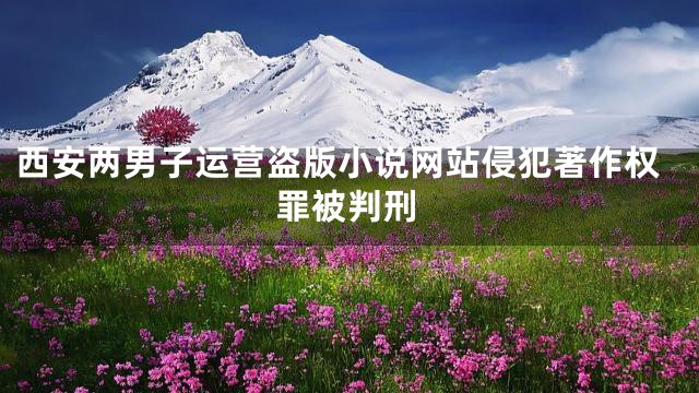 西安两男子运营盗版小说网站侵犯著作权罪被判刑