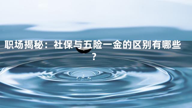 职场揭秘：社保与五险一金的区别有哪些？