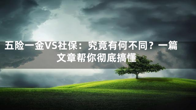 五险一金VS社保：究竟有何不同？一篇文章帮你彻底搞懂