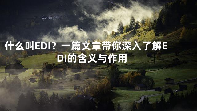 什么叫EDI？一篇文章带你深入了解EDI的含义与作用