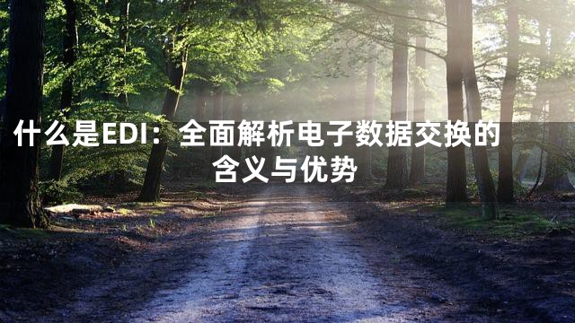 什么是EDI：全面解析电子数据交换的含义与优势