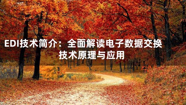 EDI技术简介：全面解读电子数据交换技术原理与应用