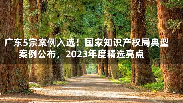 广东5宗案例入选！国家知识产权局典型案例公布，2023年度精选亮点