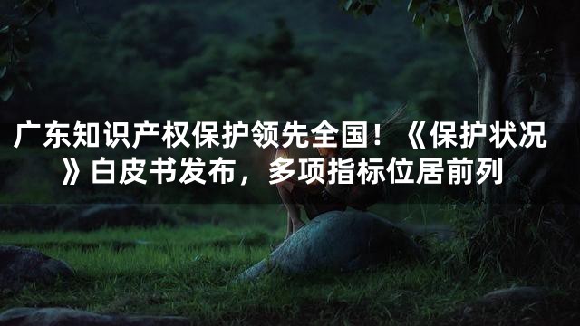 广东知识产权保护领先全国！《保护状况》白皮书发布，多项指标位居前列