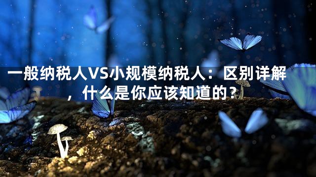 一般纳税人VS小规模纳税人：区别详解，什么是你应该知道的？