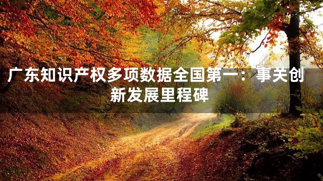 广东知识产权多项数据全国第一：事关创新发展里程碑