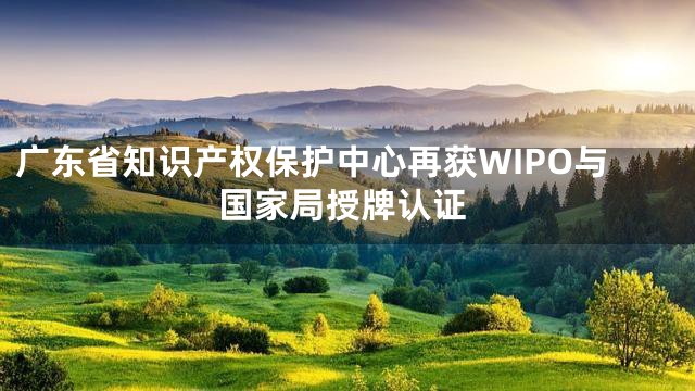 广东省知识产权保护中心再获WIPO与国家局授牌认证